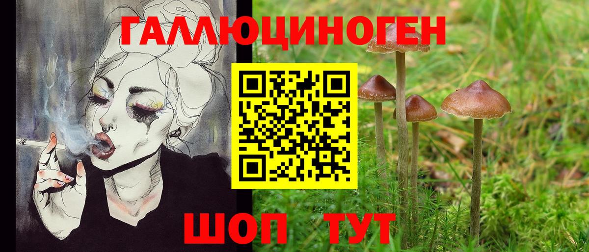 Галлюциногенные грибы ЛСД Сосновый Бор