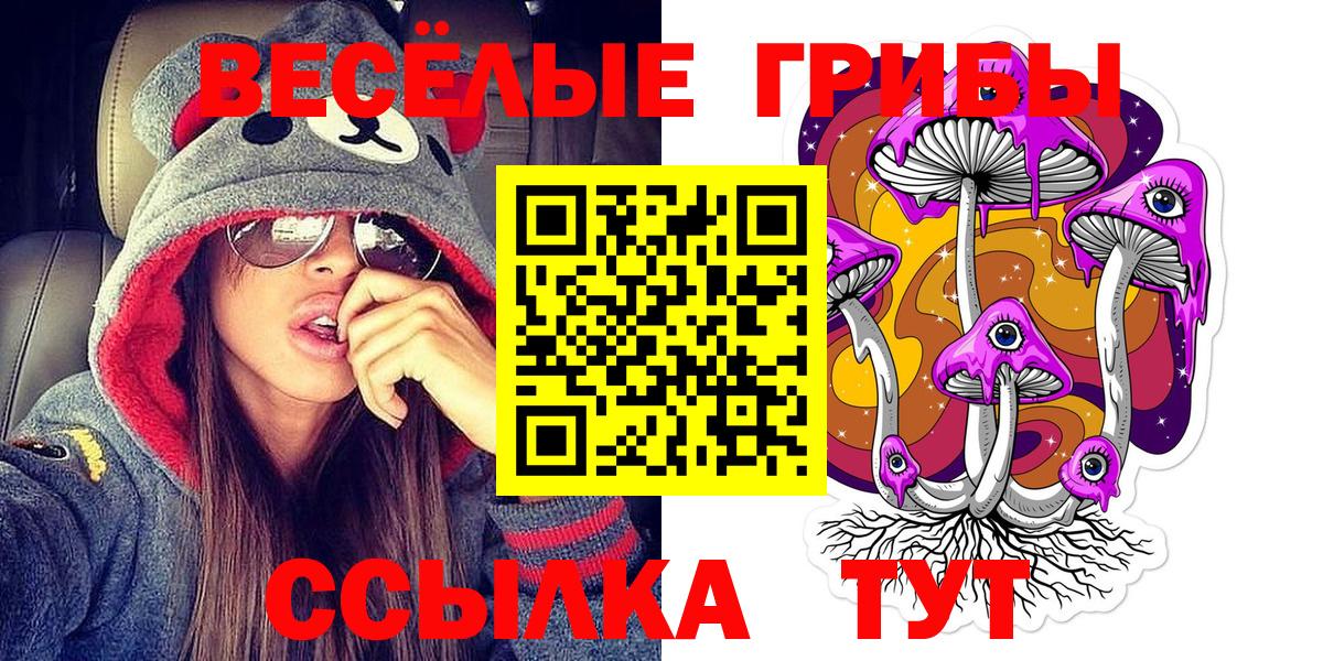 Сосновый Бор  Псилоцибиновые грибы мицелий  Вход с VPN 